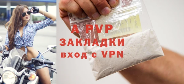 прущие грибы Наволоки