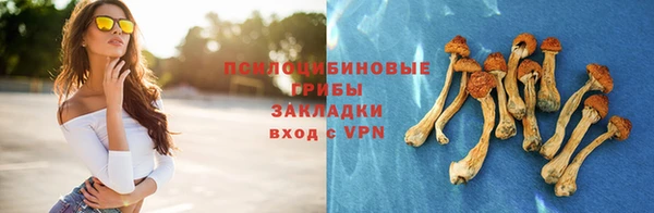 мяу мяу мука Михайловка
