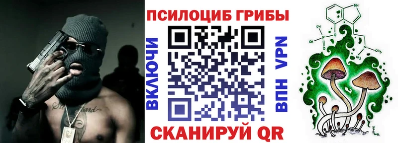 Купить где  Моршанск  Псилоцибиновые грибы ЛСД 